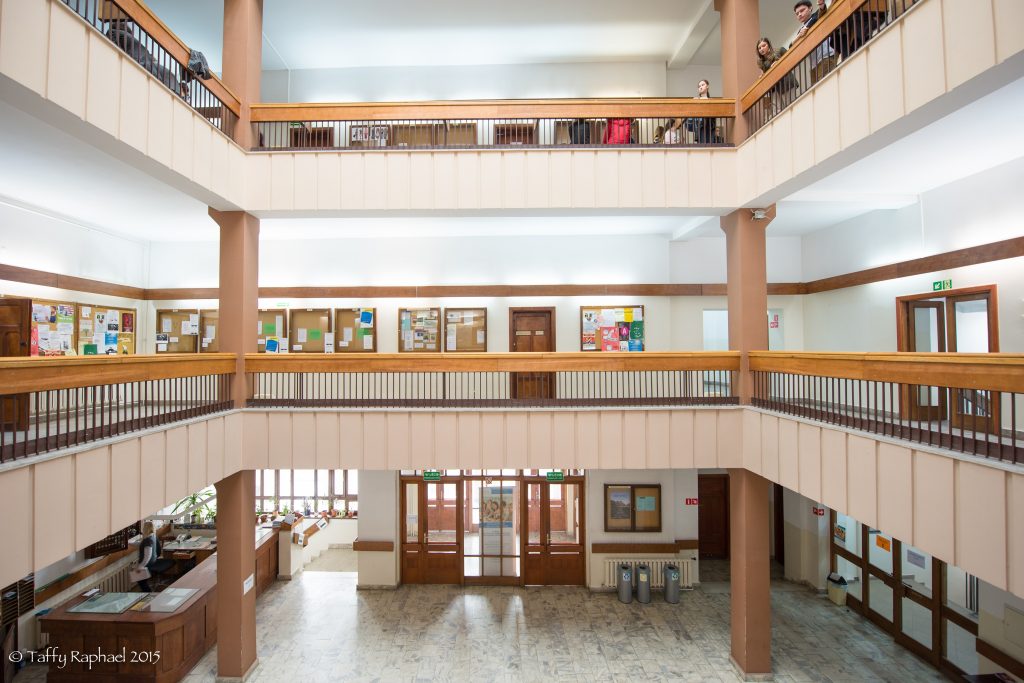 Hol IFA (fot. Taffy Raphael)